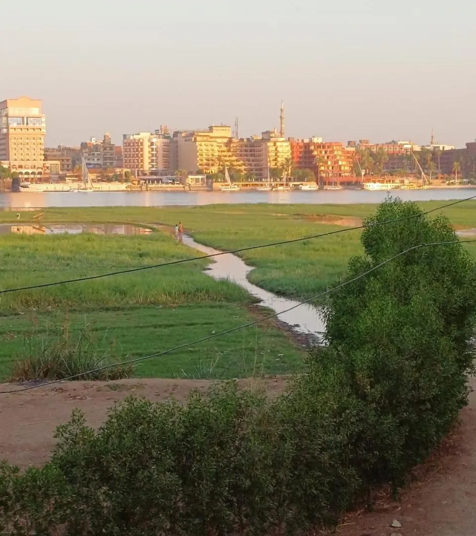 Holiday home Nile Flower Guest House Al Aqalitah